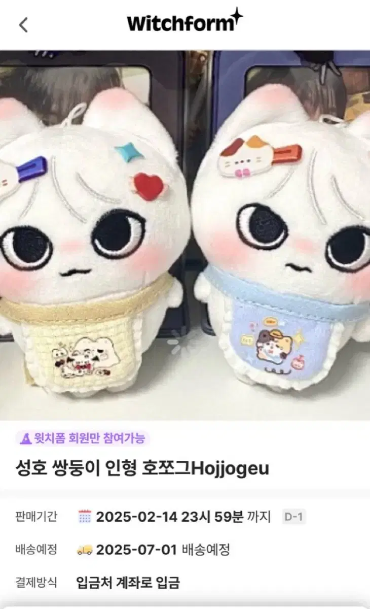 보이넥스트도어 성호 인형 호그 양도